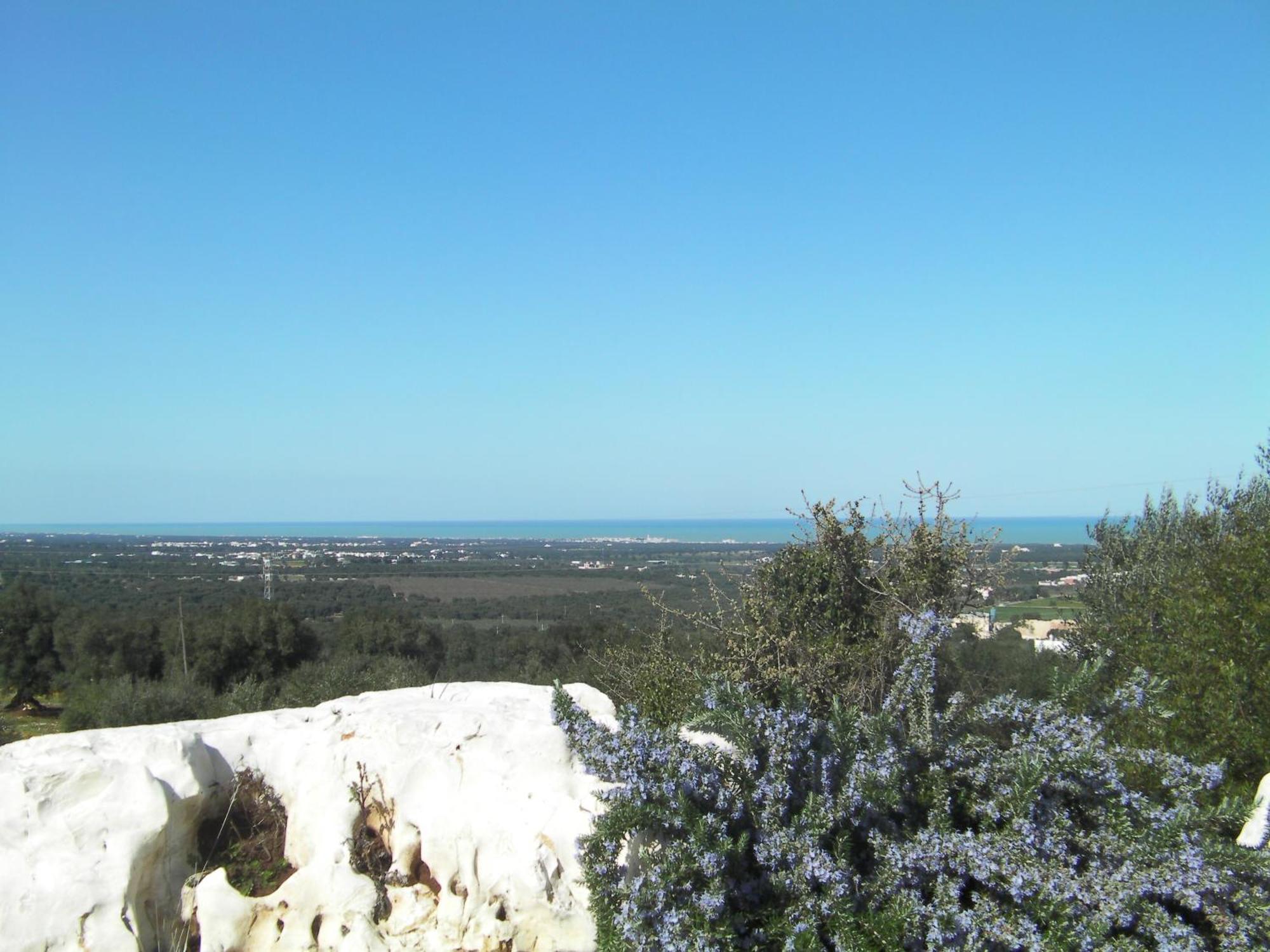 צ'יסטרנינו Agriturismo Masseria Spetterrata מראה חיצוני תמונה